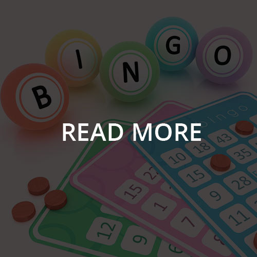 Read more about Bingo