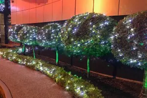 Christmas Lights