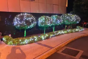 Christmas Lights